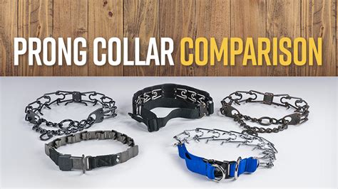 k9 prong collar